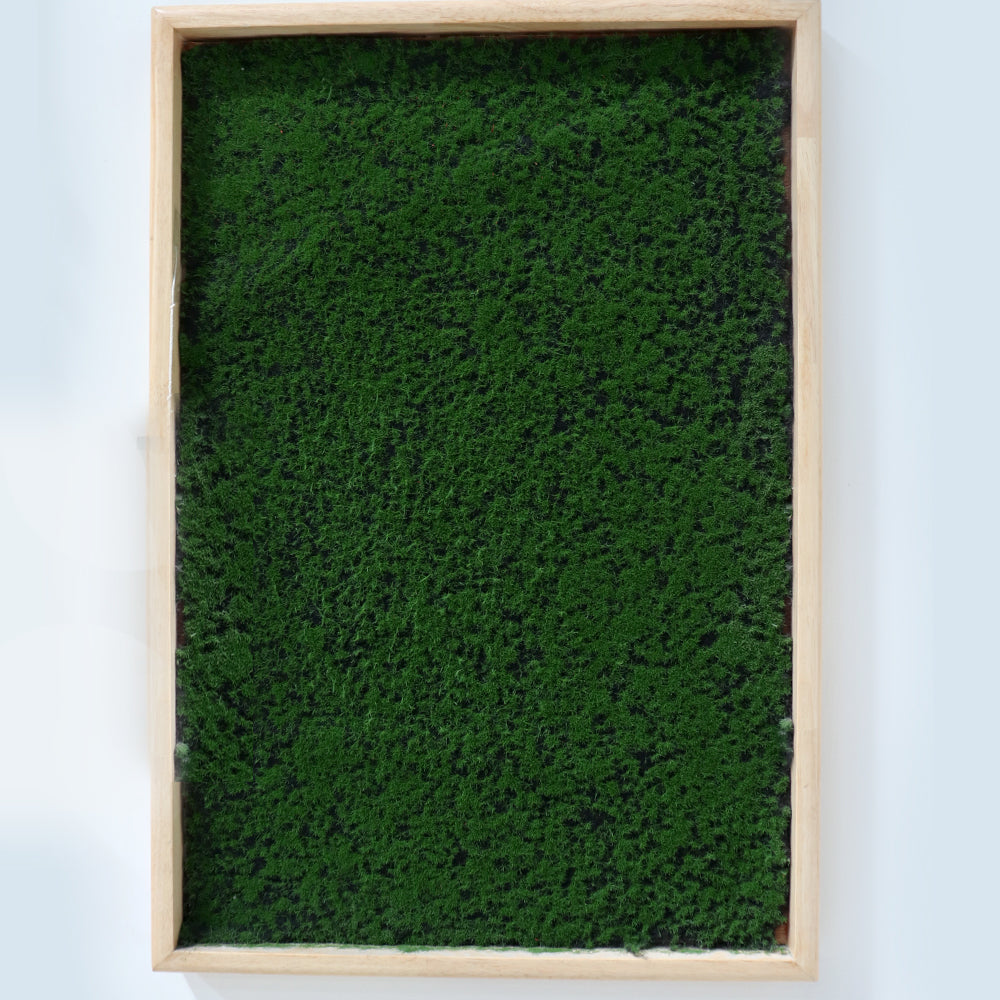 Green Square Mat vertical Green Wall