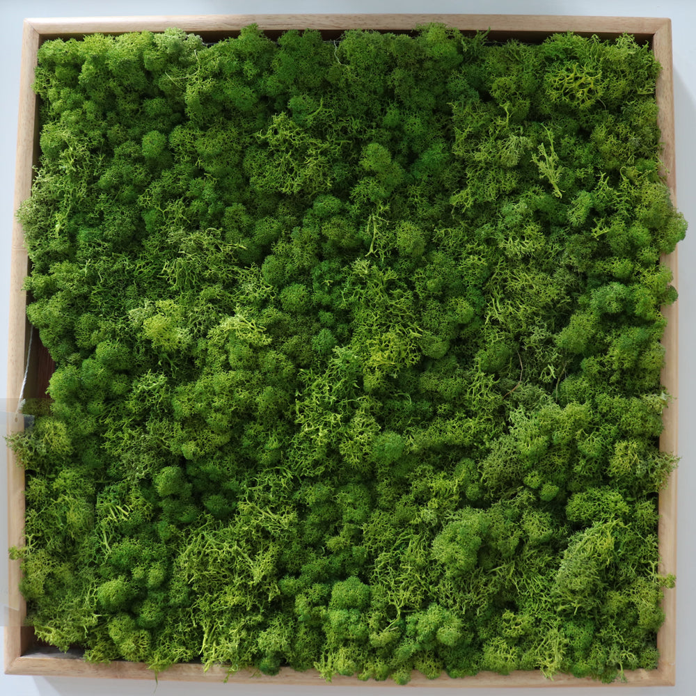 Green Square Mat vertical Green Wall