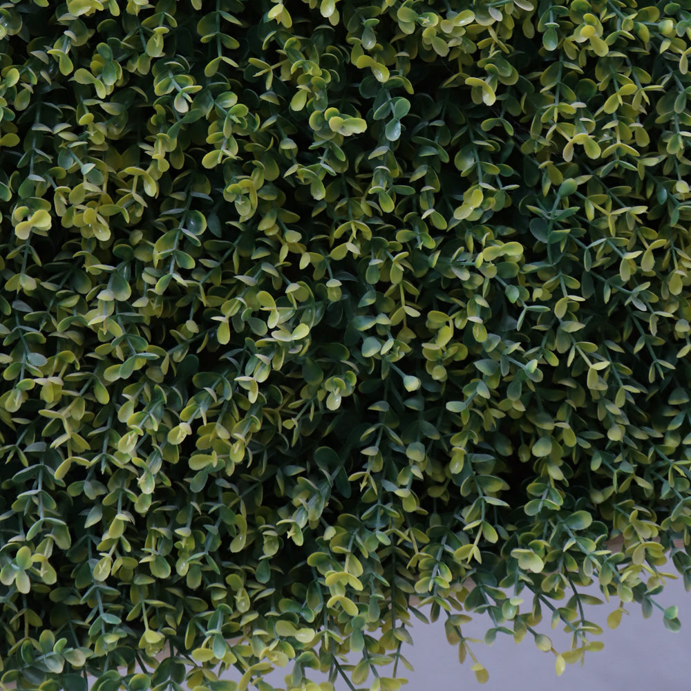 Green Square Mat vertical Green Wall