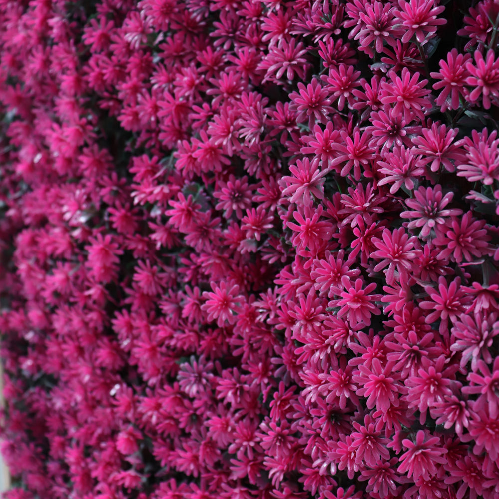 Pink Square Mat vertical Green Wall