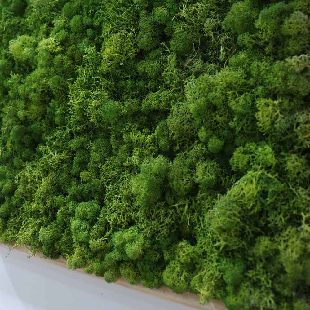 Green Square Mat vertical Green Wall