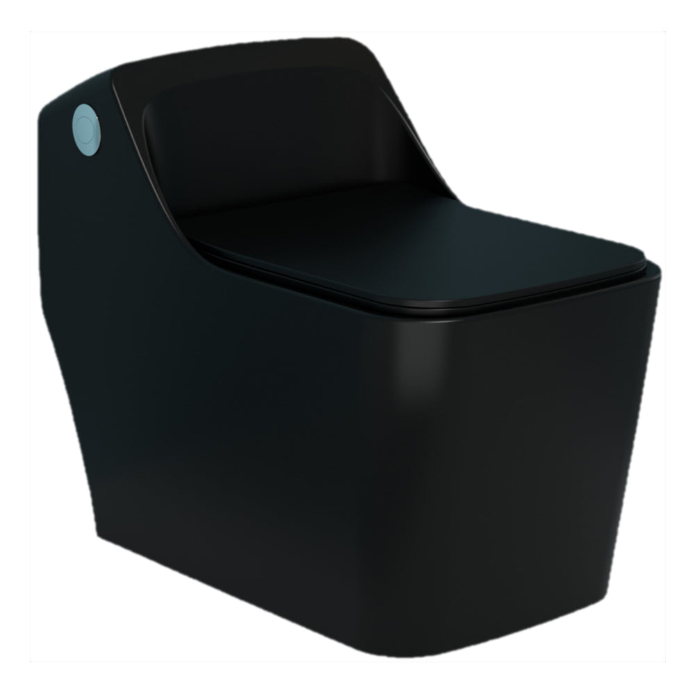 MATT BLACK GLOSSY ONE PIECE WASH DOWN