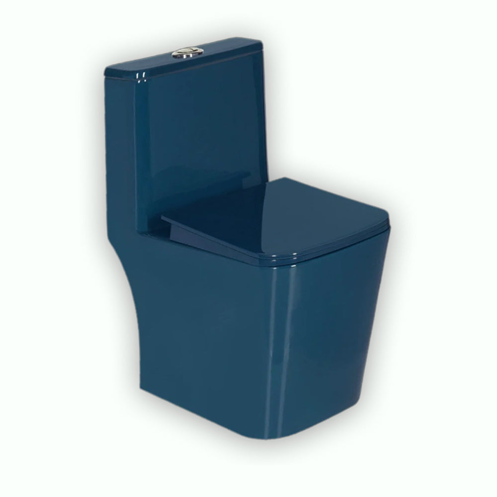 One peice Nilcore Blue 6D Syphonic Closet