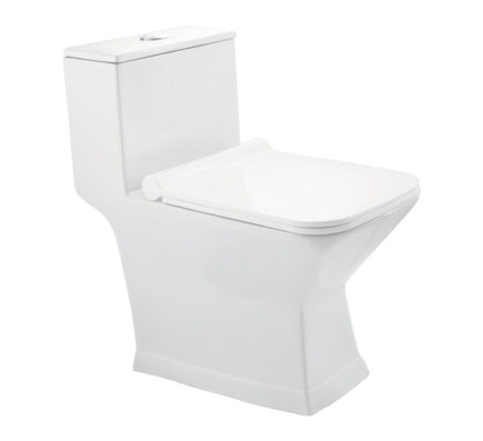 Tozzo S-220 One Piece Water Closet