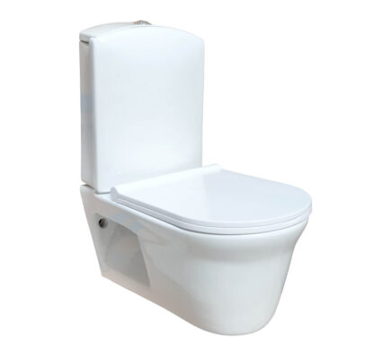 Pure Wall Mounted Water Closet