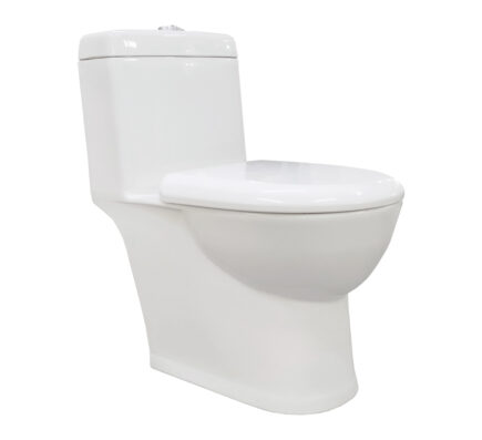 Ace S-220 One Piece Water Closet