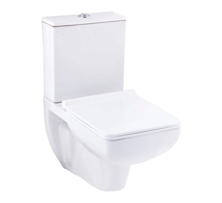 Enigma Wall Mounted Water Closet