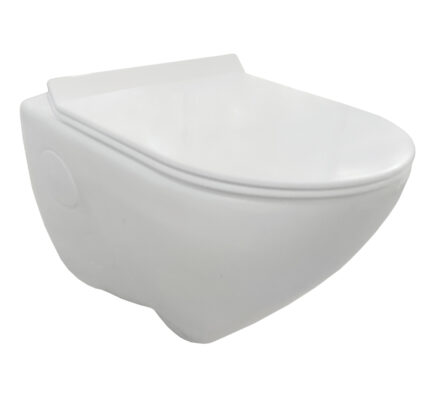 Charm Wall Mounted Water Closet