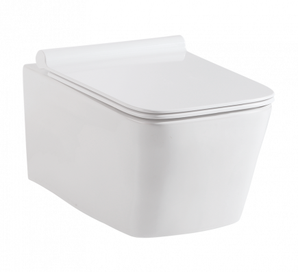 Ebello Rimless Wall Mounted Closet