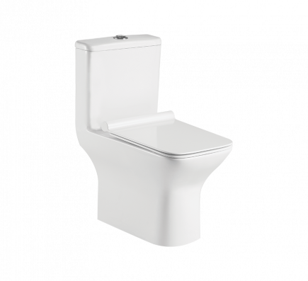 SYPHONIC FLUSHING EDGE S-220 One Piece Closet