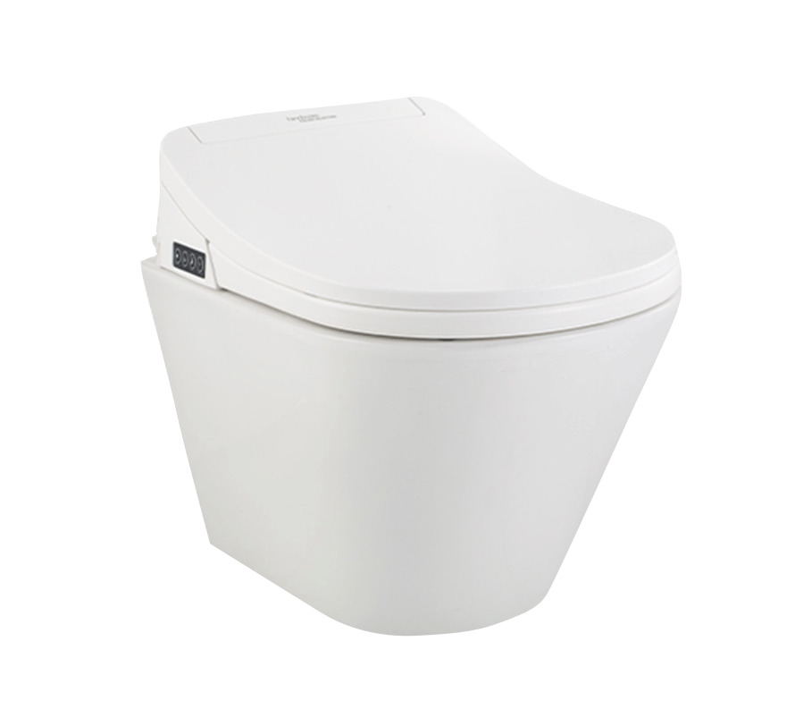 E Clenz Wall Mounted Water Closet