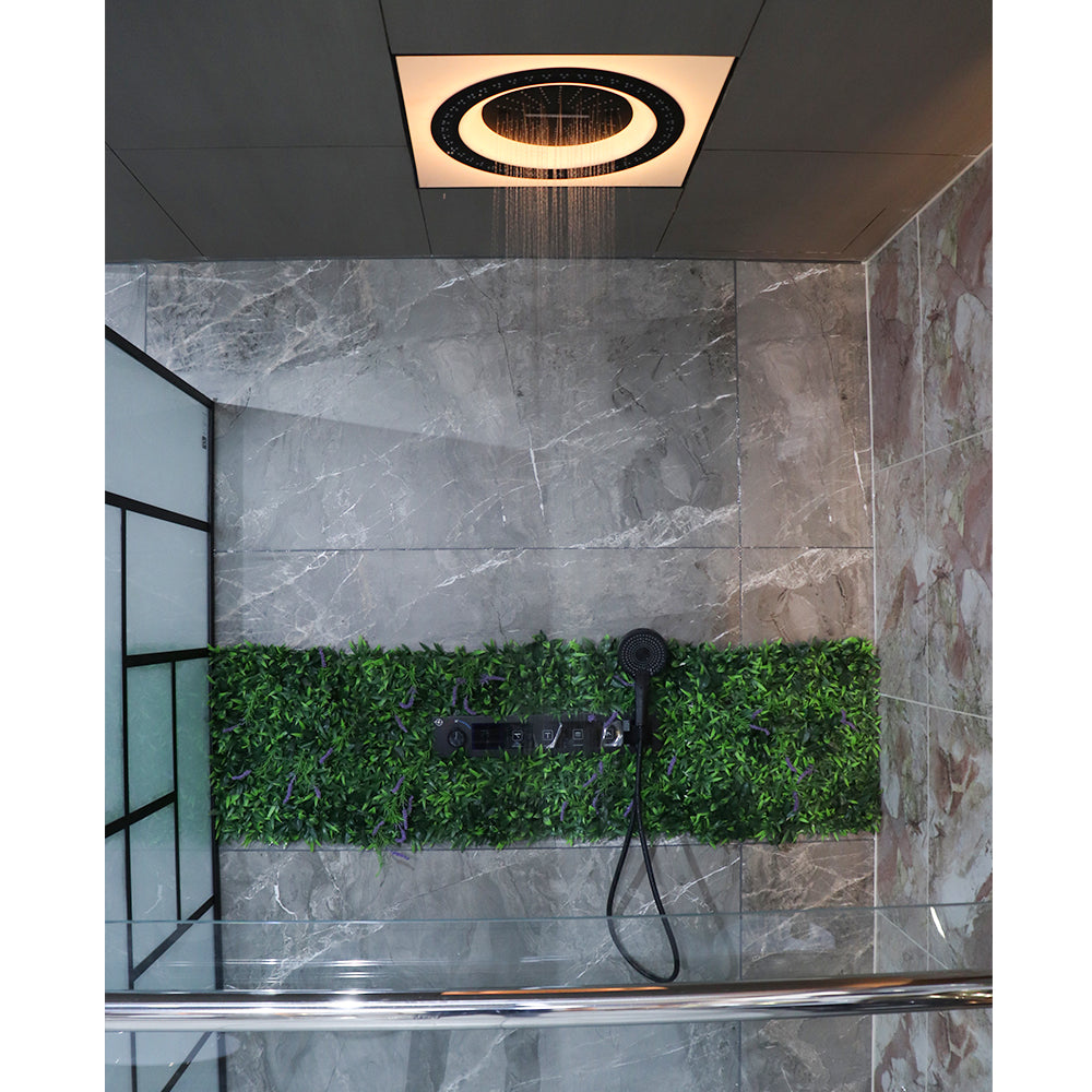 Multi Function Ceiling Shower Kit