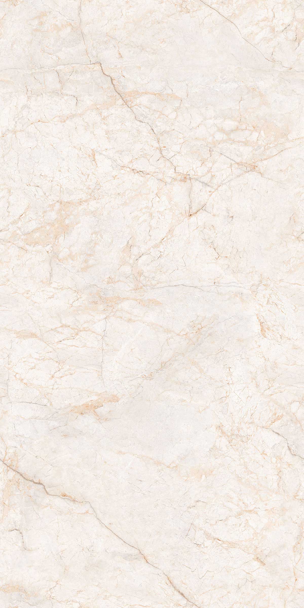 ELEGANCE GREY 1200X 2400mm