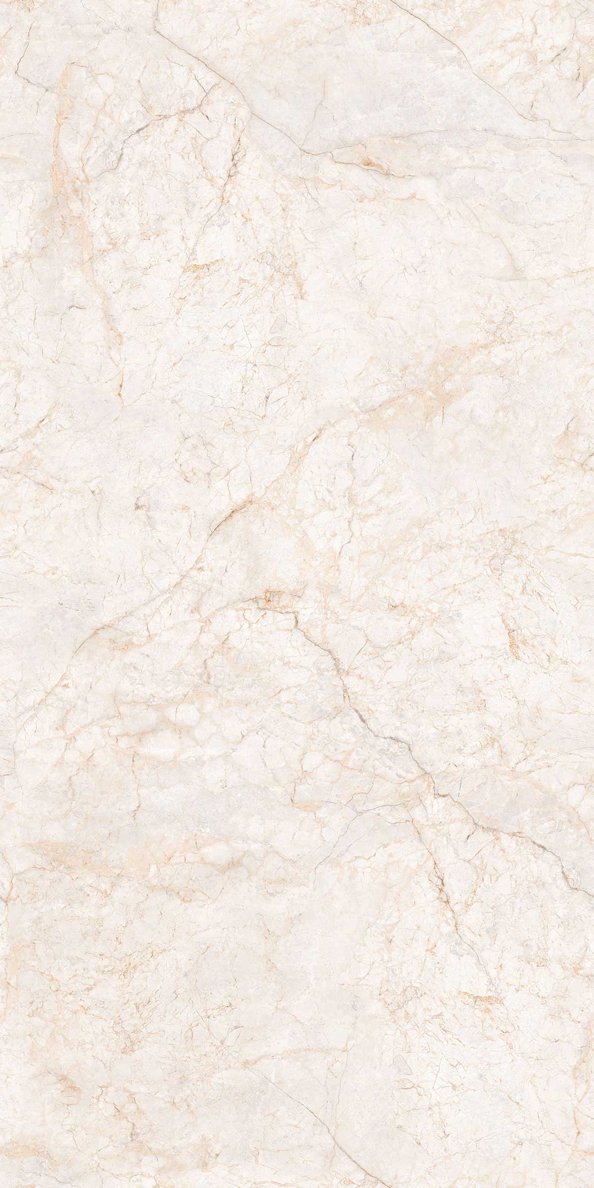 ELEGANCE GREY 1200X 2400mm