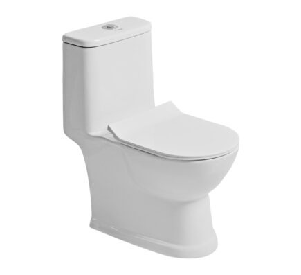 SYPHONIC FLUSHING Ace Wash down S-220
