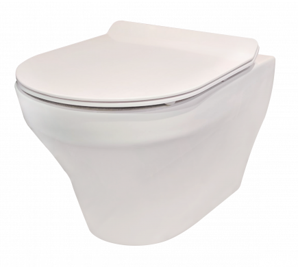 Rene Wall Mounted Water Closet